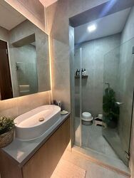 Shamrock Park (D10), Apartment #477877901
